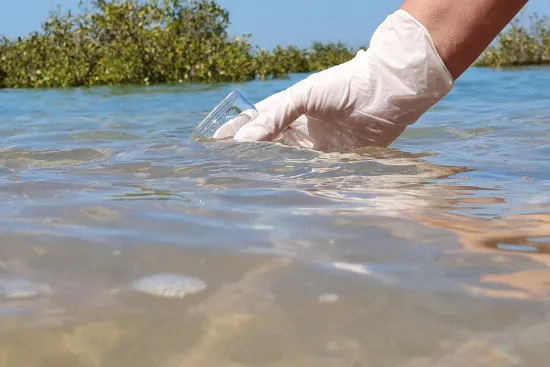 Environmentally Friendly Products